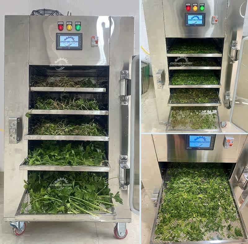 công nghệ sấy lạnh chế biến sản phẩm lá quê